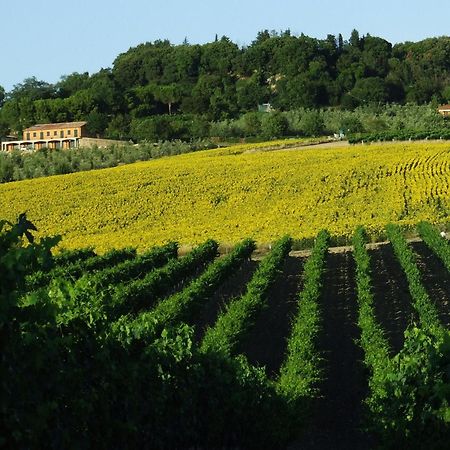 Bio Agriturismo Il Torrione Villa Saturnia Eksteriør billede