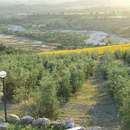 Bio Agriturismo Il Torrione Villa Saturnia Eksteriør billede