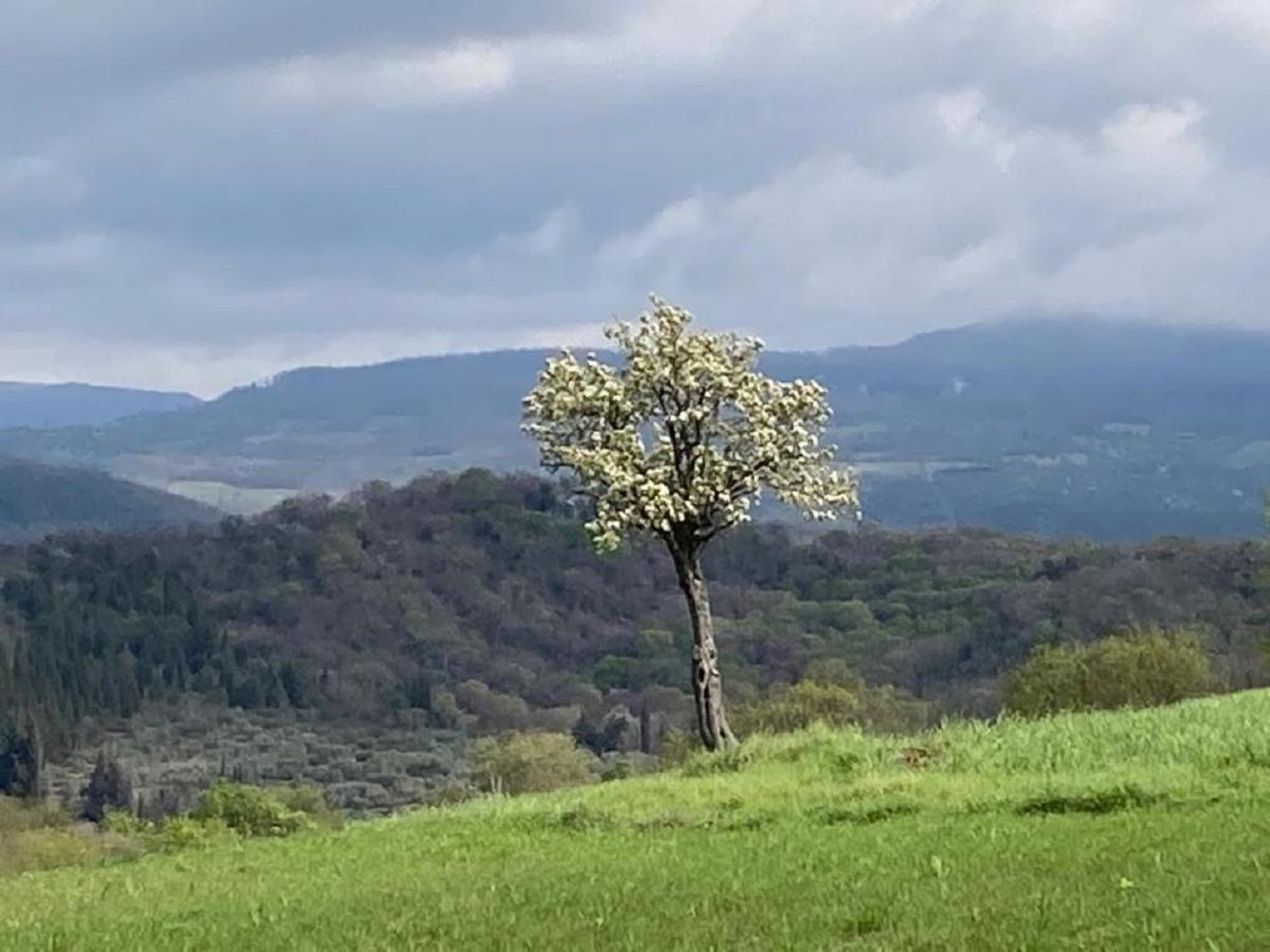 Bio Agriturismo Il Torrione Villa Saturnia Eksteriør billede