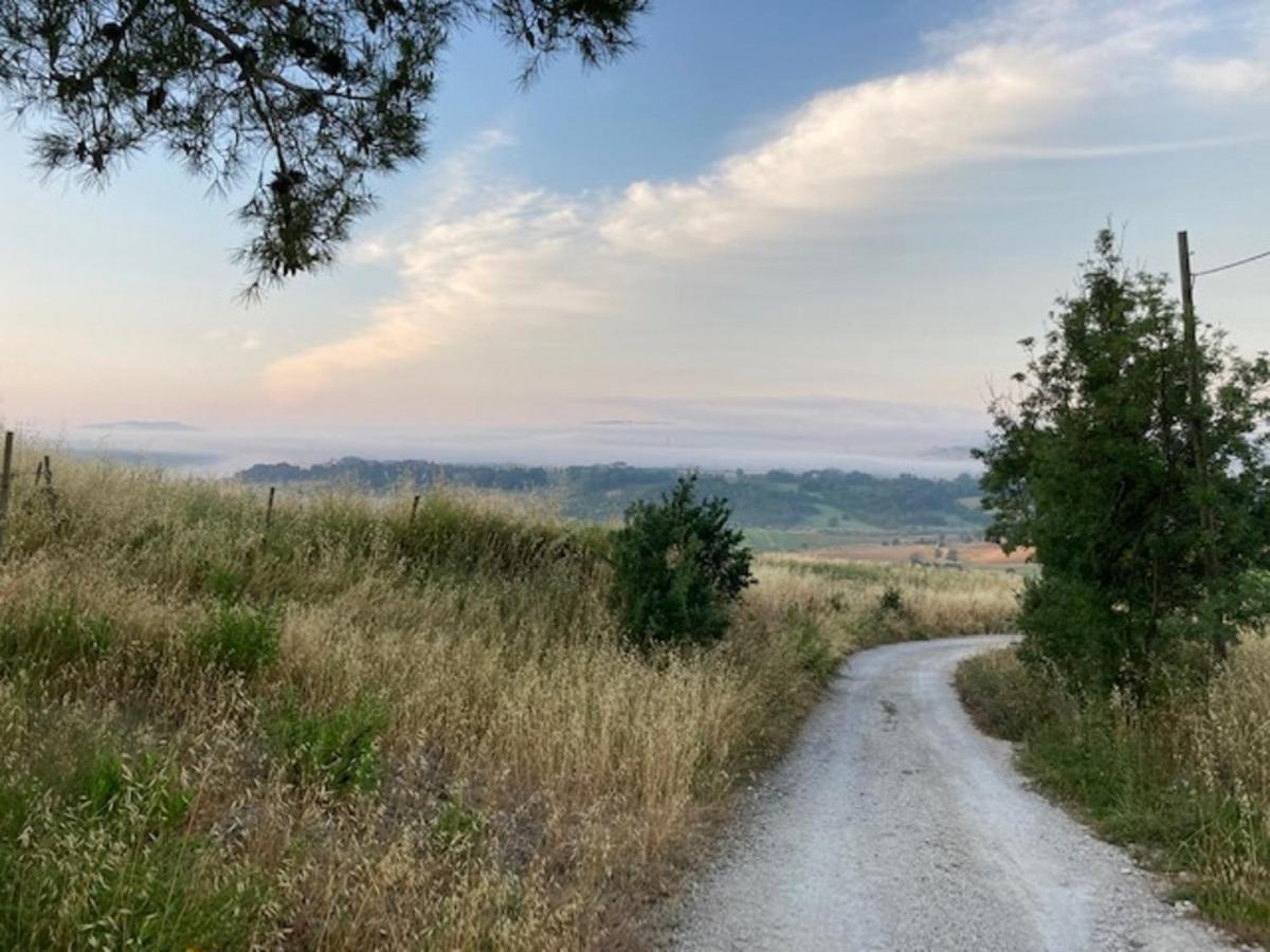 Bio Agriturismo Il Torrione Villa Saturnia Eksteriør billede