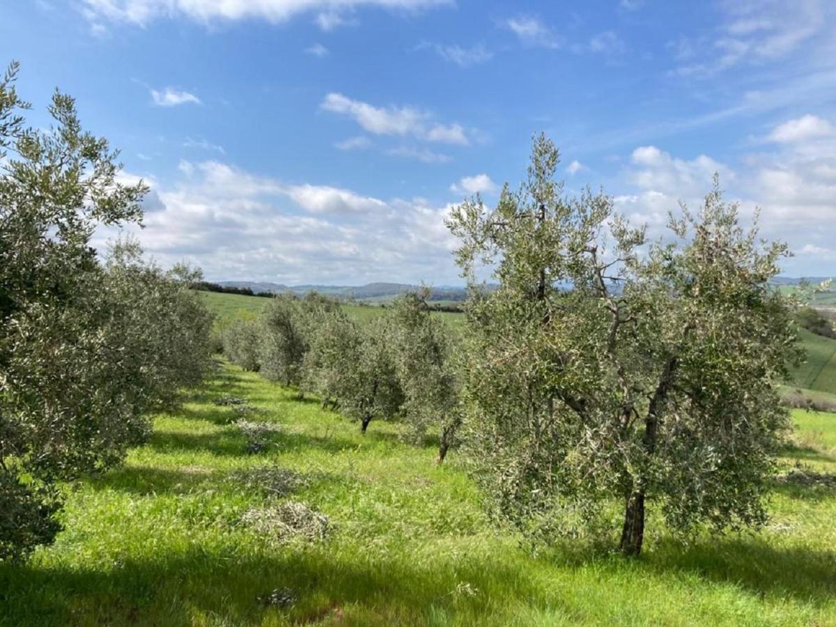 Bio Agriturismo Il Torrione Villa Saturnia Eksteriør billede