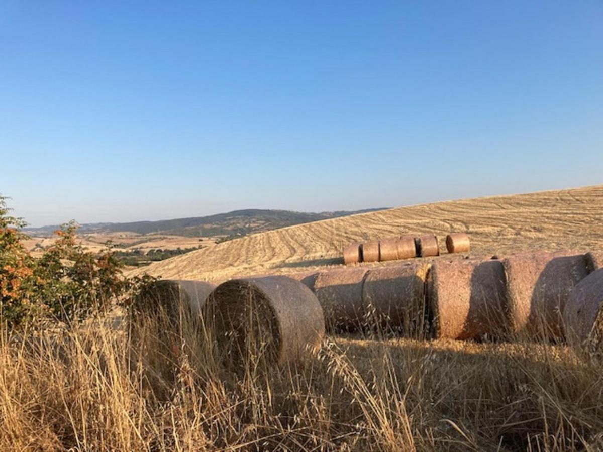 Bio Agriturismo Il Torrione Villa Saturnia Eksteriør billede