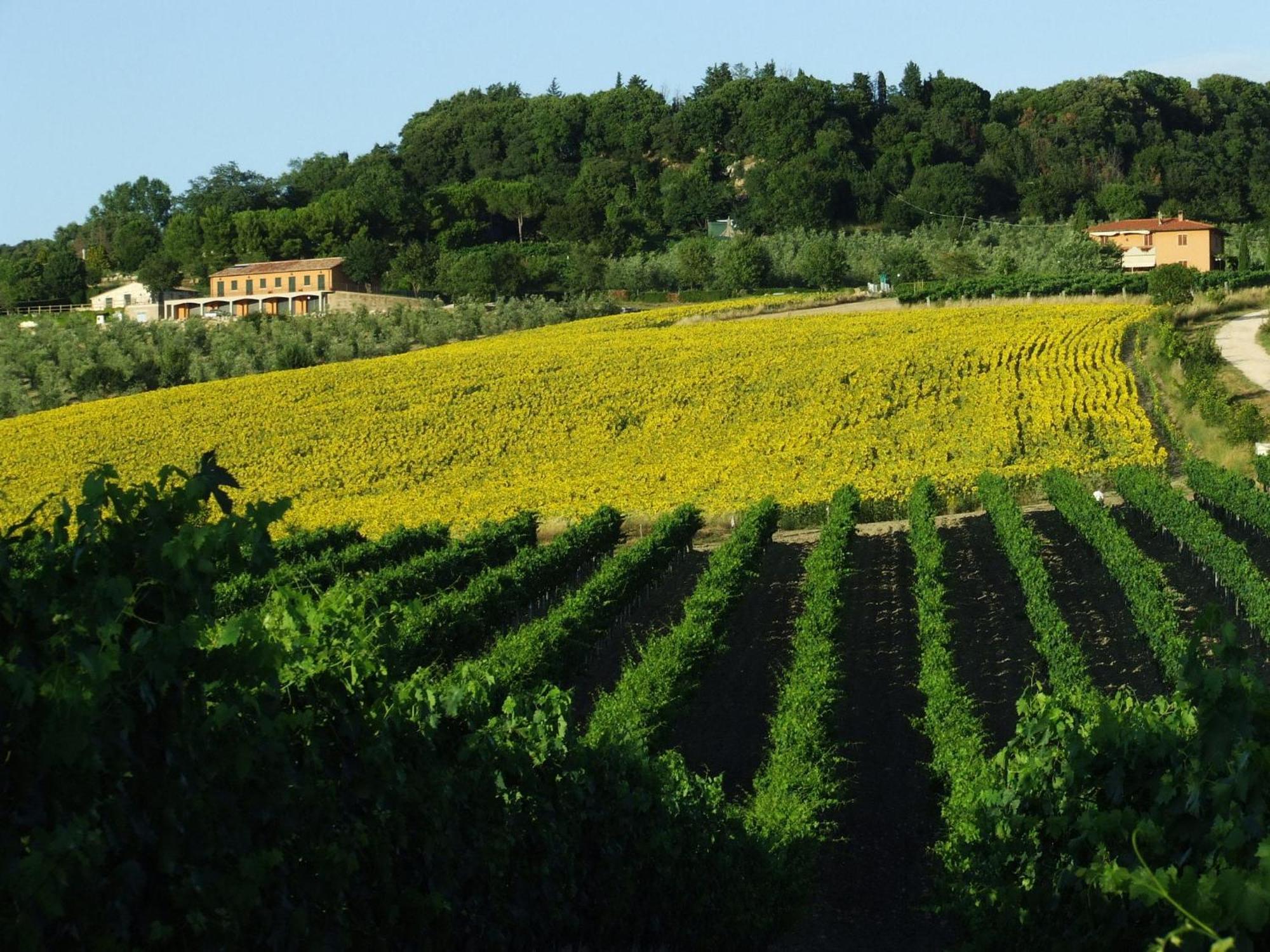 Bio Agriturismo Il Torrione Villa Saturnia Eksteriør billede