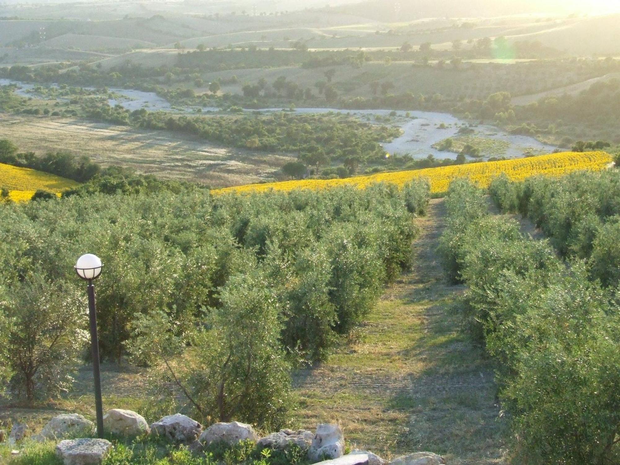 Bio Agriturismo Il Torrione Saturnia Eksteriør billede