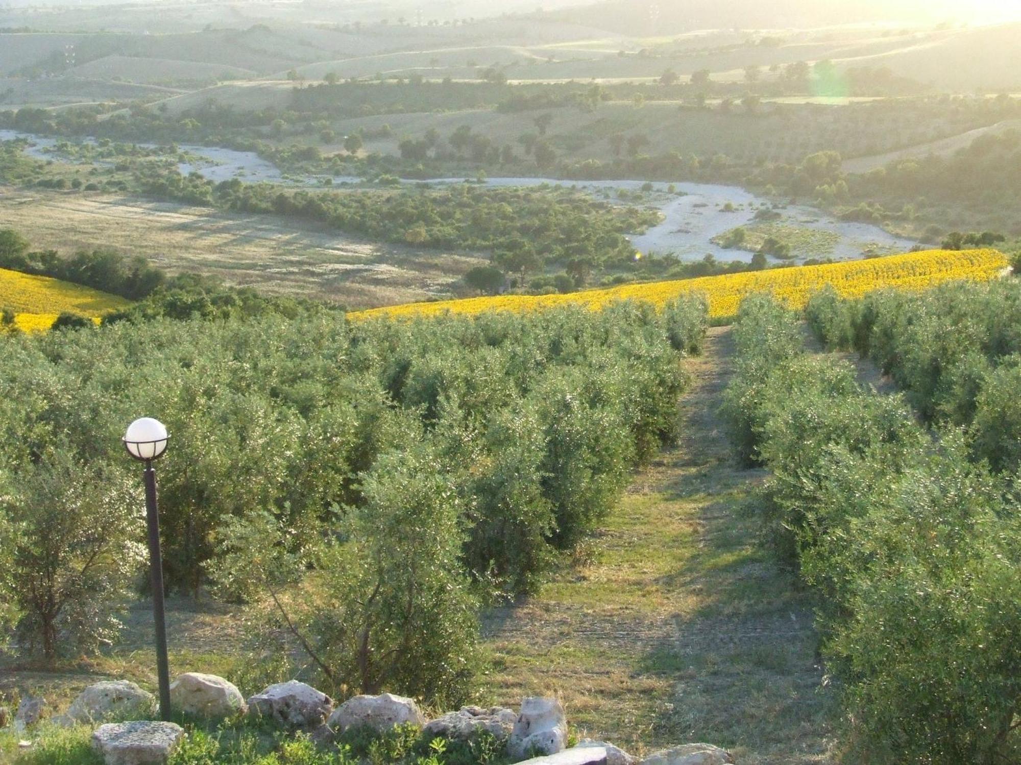 Bio Agriturismo Il Torrione Villa Saturnia Eksteriør billede