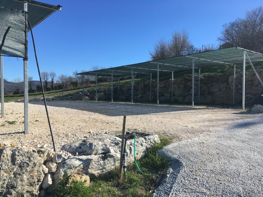 Bio Agriturismo Il Torrione Villa Saturnia Eksteriør billede